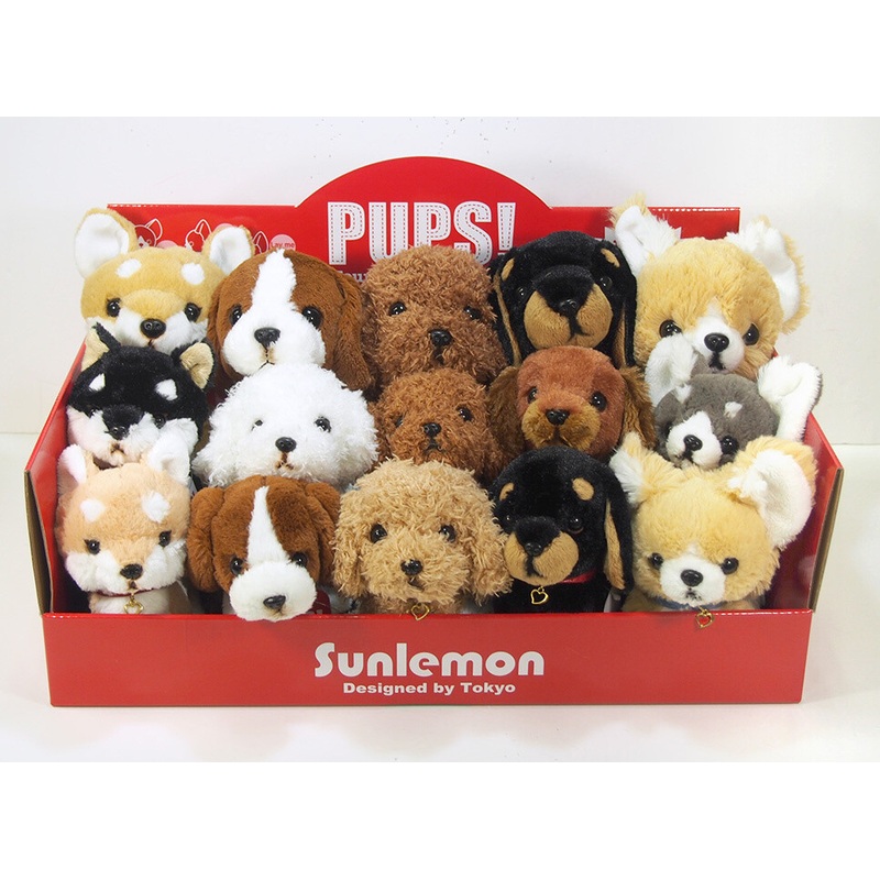 PUPS! Set w/ Display Box